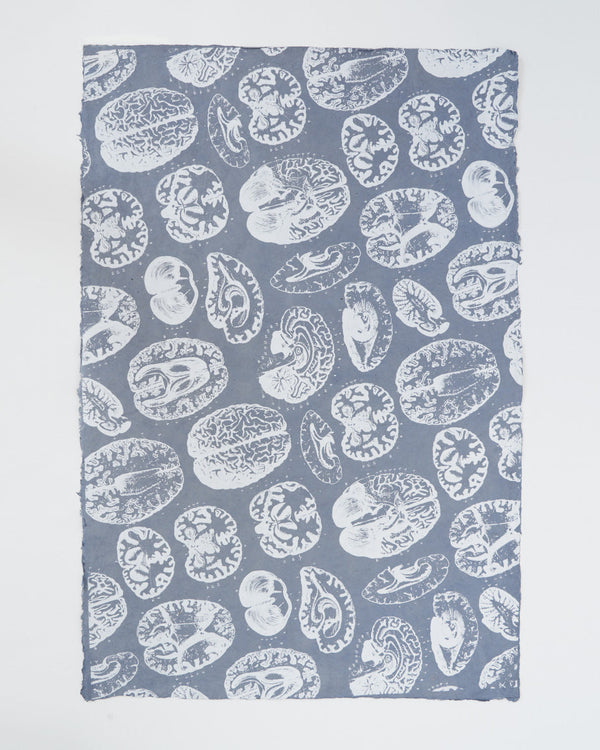 Brain Anatomy Wrapping Paper