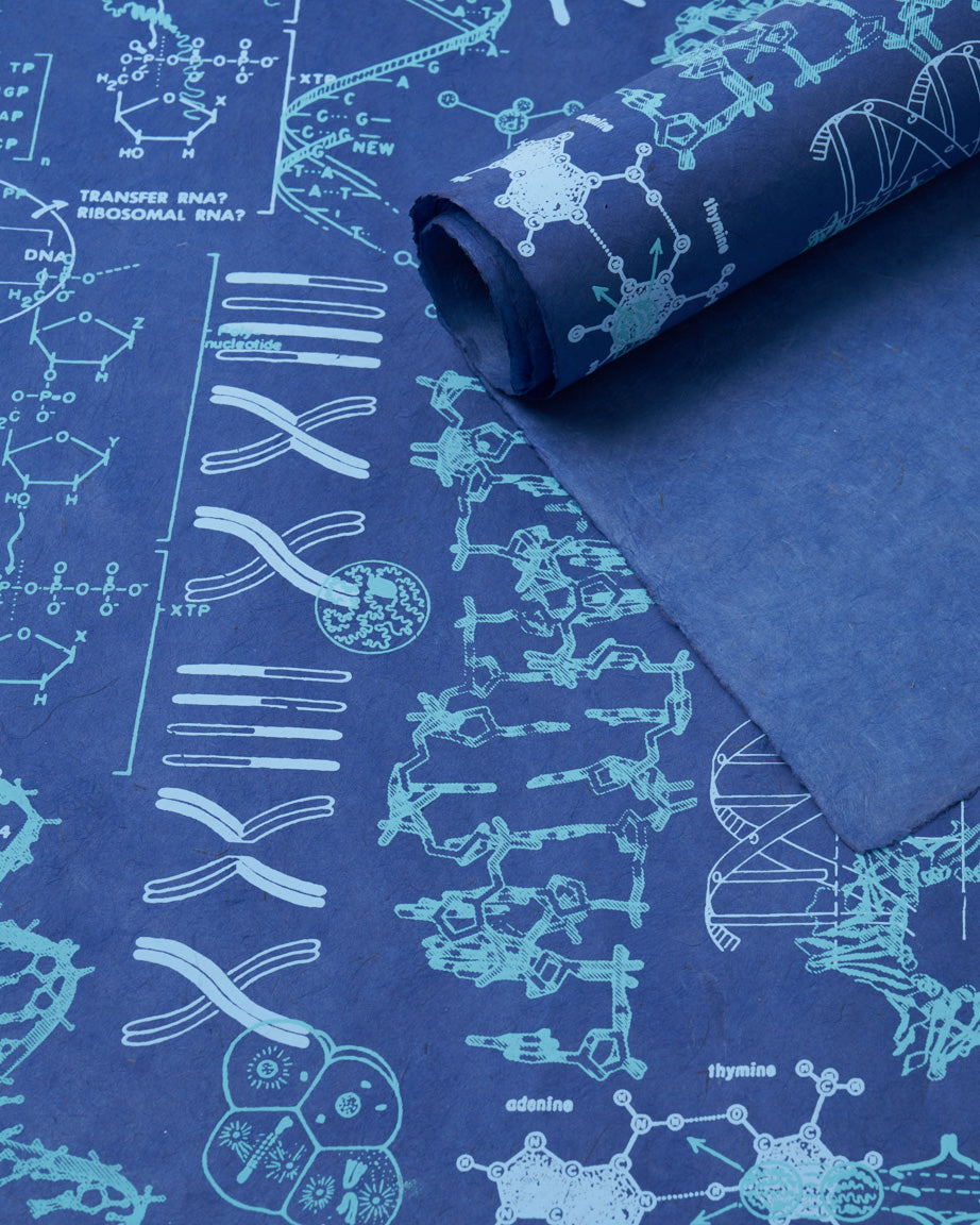 Genetics & DNA Wrapping Paper