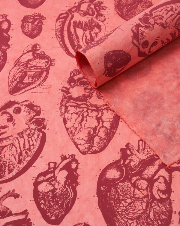 Anatomical Heart Wrapping Paper