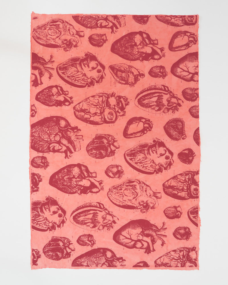 Anatomical Heart Wrapping Paper