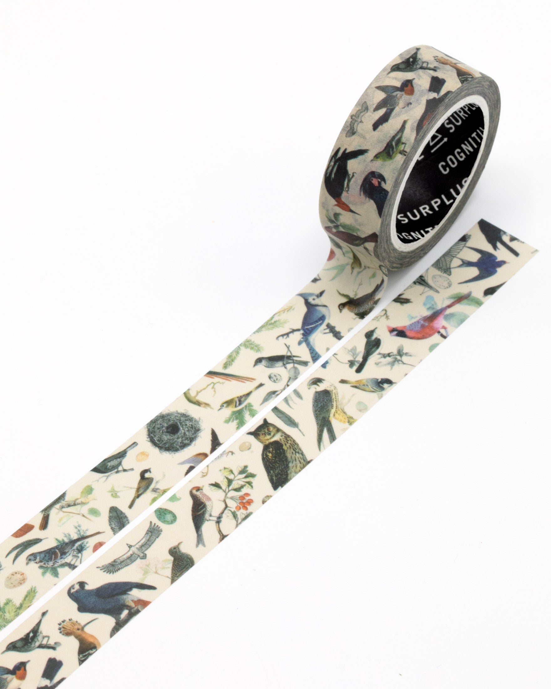 Ornithology: Birds Washi Tape