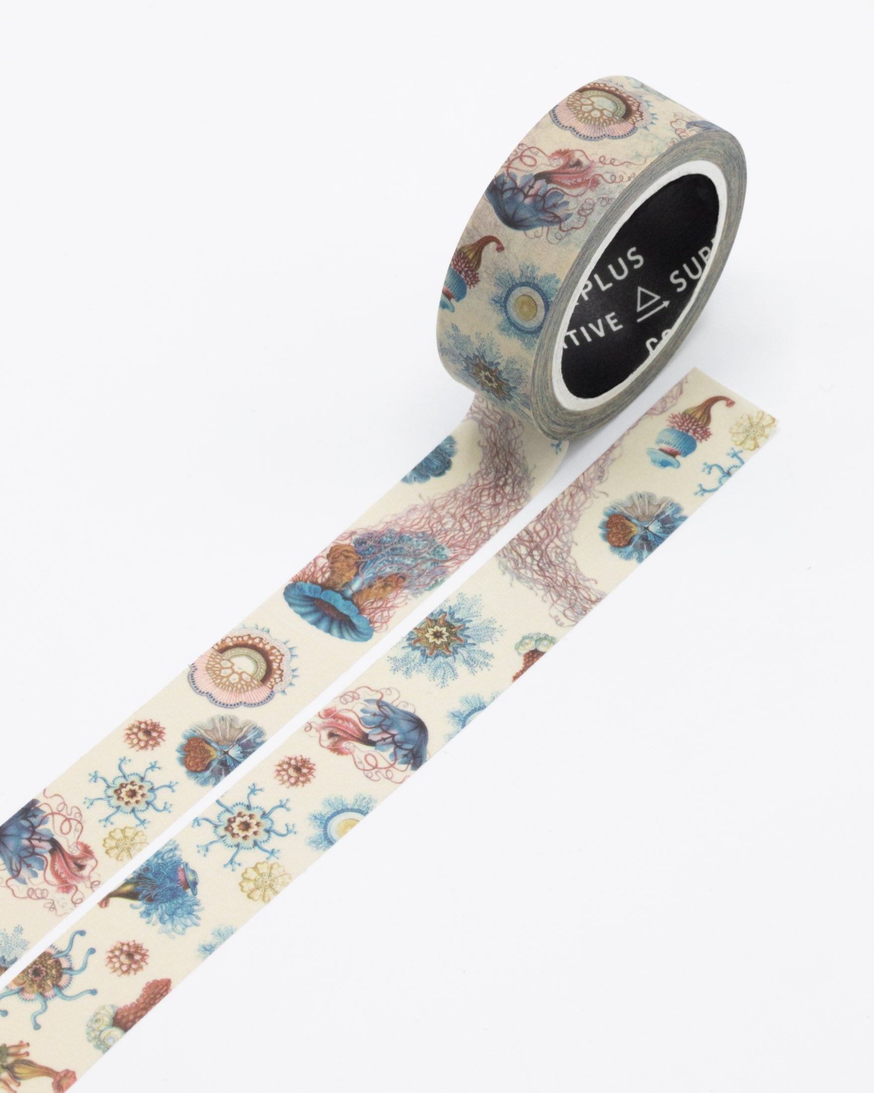 Haeckel Jellyfish Washi Tape