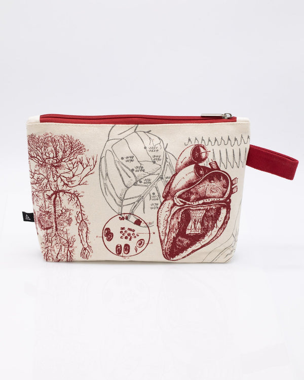 Anatomical Heart Pencil Bag